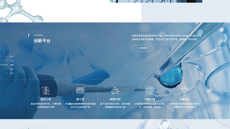 北京创新药CDMO公司：揭秘药物研发背后的关键角色