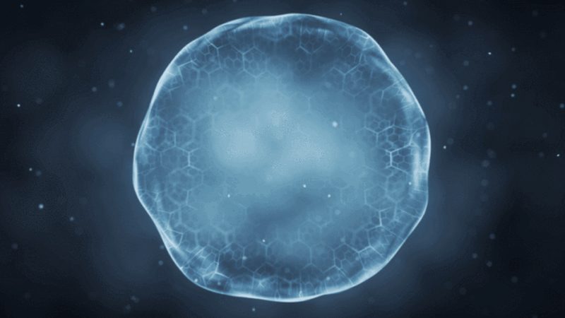 肿瘤磷酸化抗体WB检测：精准探秘肿瘤分子机制**