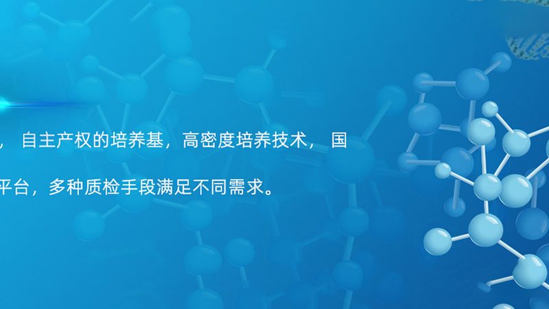 电商CRO优化参数设置：揭秘提升实验效率的关键