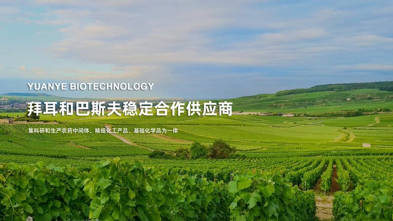 上海CDMO生物药CDMO：揭秘生物药生产背后的关键力量