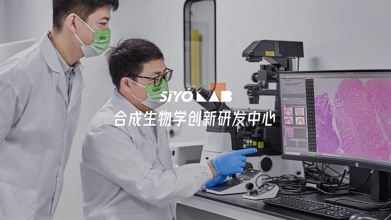 PCR实验室防污染设计：关键要点与实施策略
