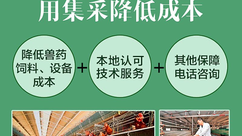 生物类似药与原研抗体药：本质差异与选择要点**