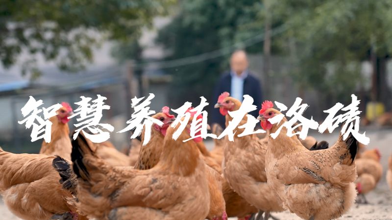 生物医药外包人才派遣：揭秘其核心价值与选择要点**