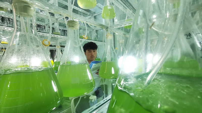 生物科技公司选哪家？揭秘关键考量因素